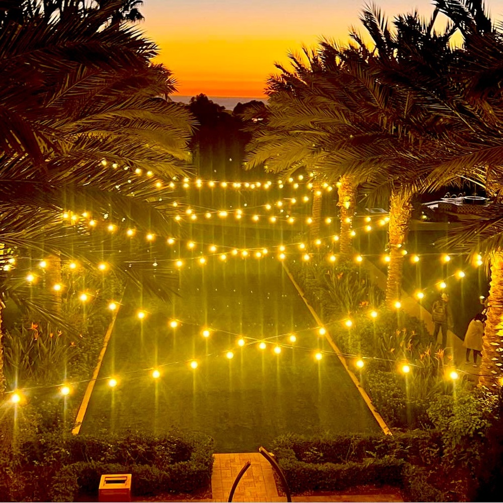 Meet your Posher, Oisaeu Haus